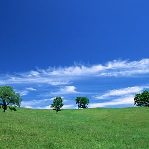 Meet your Posher, Kenna